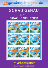 Drachenflieger.pdf